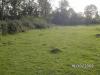 Wiese und Chaos-Hecke