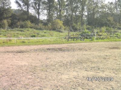 Pferdepaddock und Heuwiese