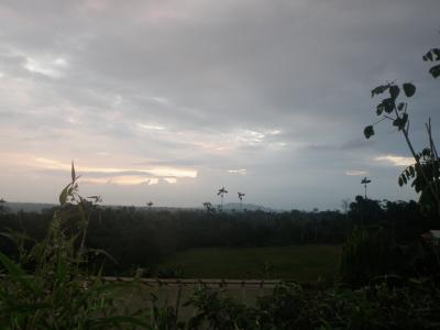 PA010070
