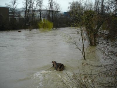 Bris-Hochwasser-3