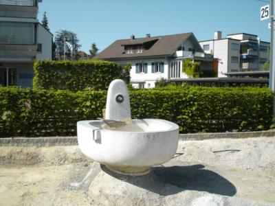 Brunnen-Albert-Schilling-Arlesheim