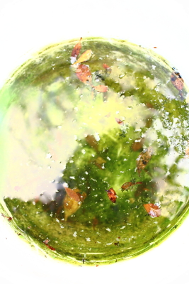 Mikrowelt