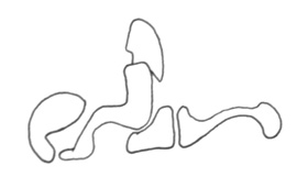 altern