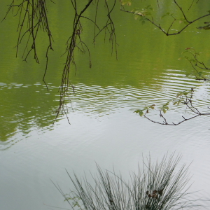 feuersee-w1