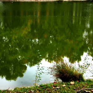 feuersee-w10