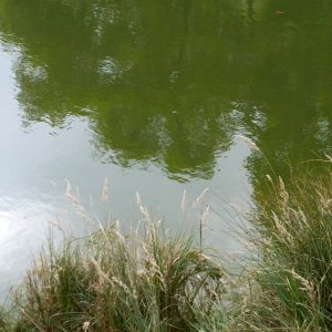 feuersee-w13