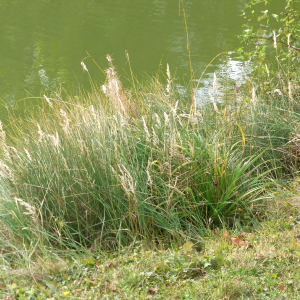 feuersee-w3