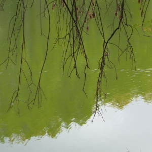 feuersee-w4
