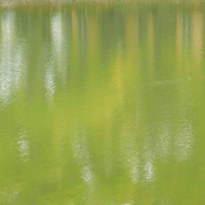 feuersee-w6