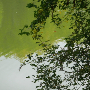 feuersee-w7