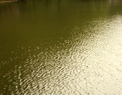 wasser