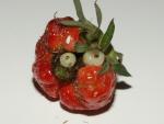 Frank La Fraise