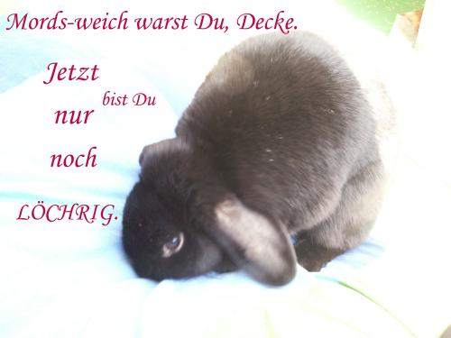 Kuschelknabberkugel