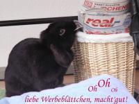 Ein Medienjunkie.