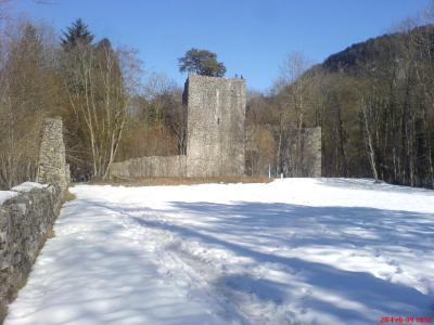 Ruine Weissenau