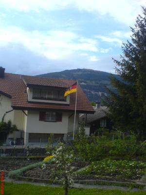 Deutsche Fahne in Nachbars Garten