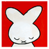 miffy50-1