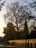 friedhof_rathauspark