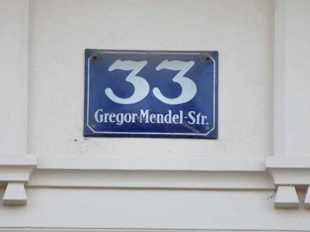 MendelGregorStrasse33-MendelHaus-Boku-Hausnummer_WIen
