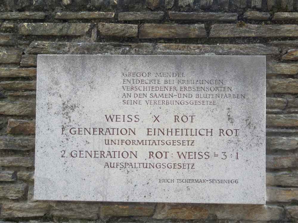 Mendeldenkmal_Engelshof_Wien_4
