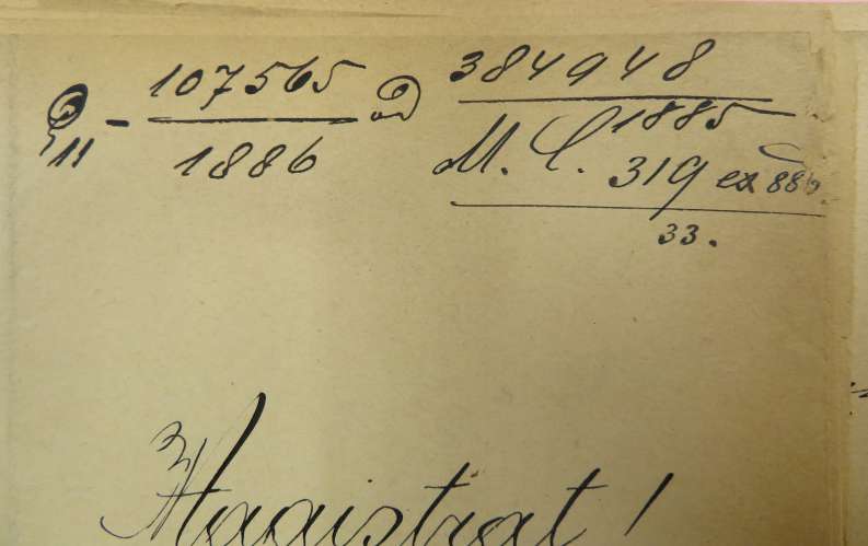 Q11-107565_Hundefang-Wasenmeister_1886_WSTLA-A51