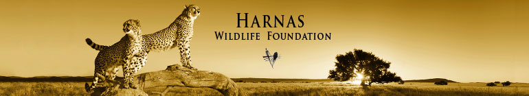 Harnas Wildlife Foundation