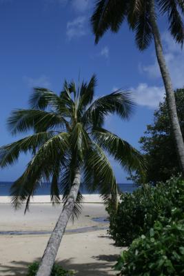 Rarotonga