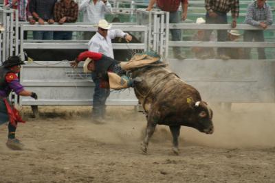 Wanaka-Rodeo