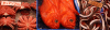 fishmarkt_jfishe-2000