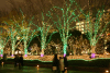 lichter2