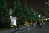 lichter4