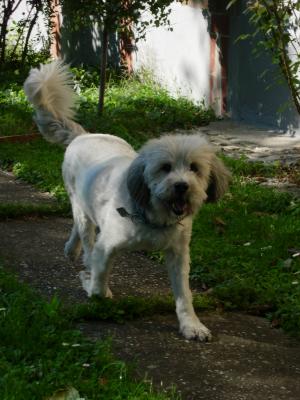 essling-sept-06-019