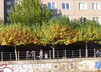 baume