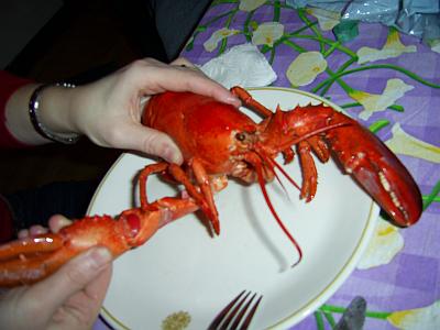 lobster001