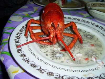 lobster002