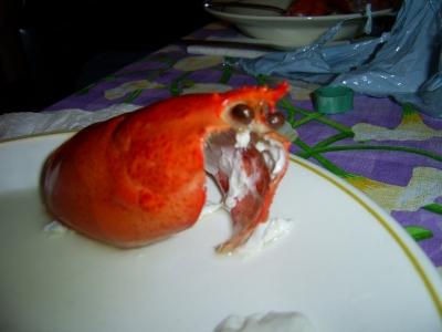 lobster003