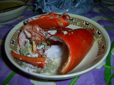 lobster004