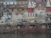 Varanasi - Ganges - die Hindus betrachten den Ganges als heiligen Fluß und waschen sich täglich darin