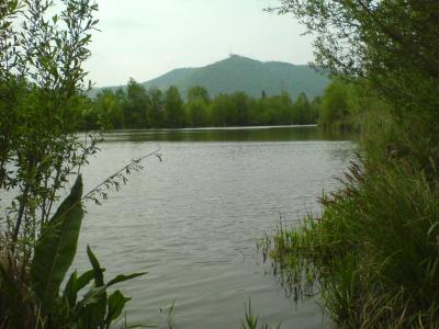 DSC00588