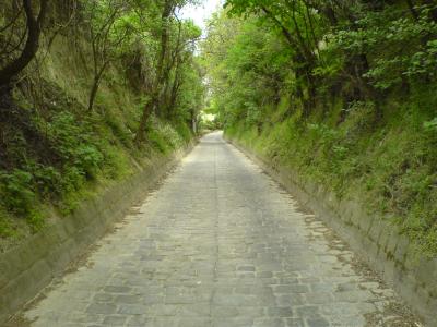 DSC00595