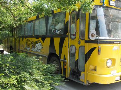 bus2