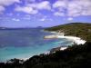Beach-Albany-WA-bear