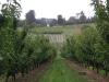 Cherrie-Melbourne-2-