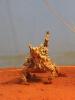 Desert-Park-AS-6-