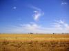 Grampians-9-