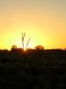 Outback-73-