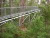 Tree-Top-Walk-WA-2-