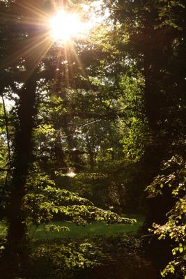 Ines-und-Basti-Hochzeit-085