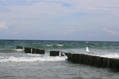 Ostsee-070