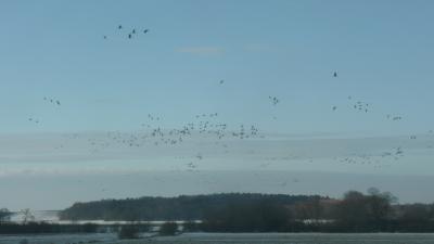 bilder-kamera-29112008-011